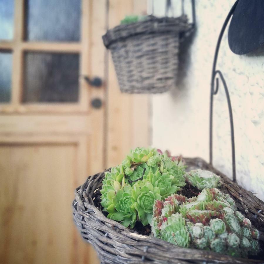 אלטמונסטר Ferienhaus In Der Schlipfing Mit Garten מראה חיצוני תמונה